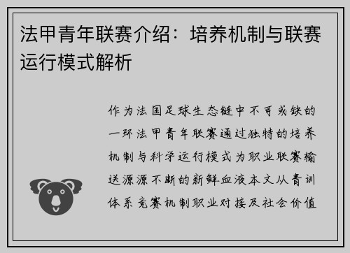法甲青年联赛介绍：培养机制与联赛运行模式解析